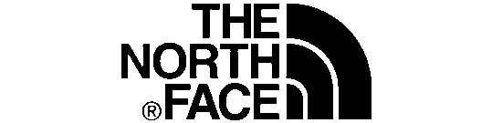 the north face Logo