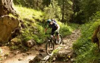 mtb in forest on sellaronda mtb tour